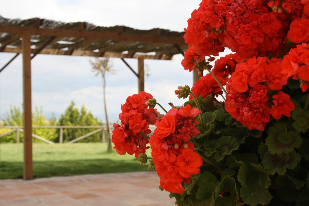 Atalaya De La Campina Hotell Córdoba Exteriör bild