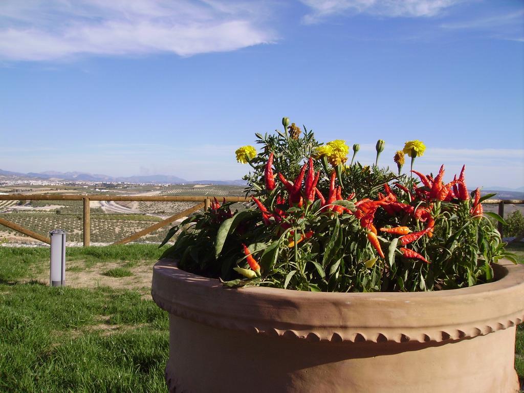 Atalaya De La Campina Hotell Córdoba Exteriör bild